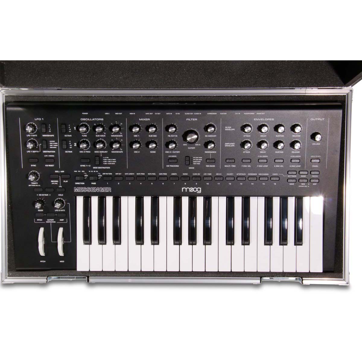 Étui en PVC pour Moog Messenger