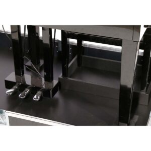 Heavy Haubencase Kawai DG-30 + Rollen