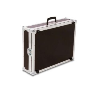 Effektcase Sheeran Looper X